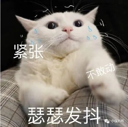 DƬ